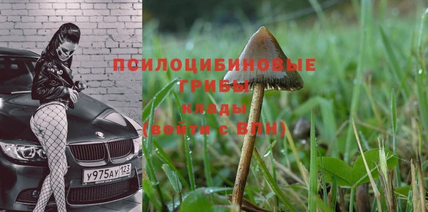 марки lsd Богородск